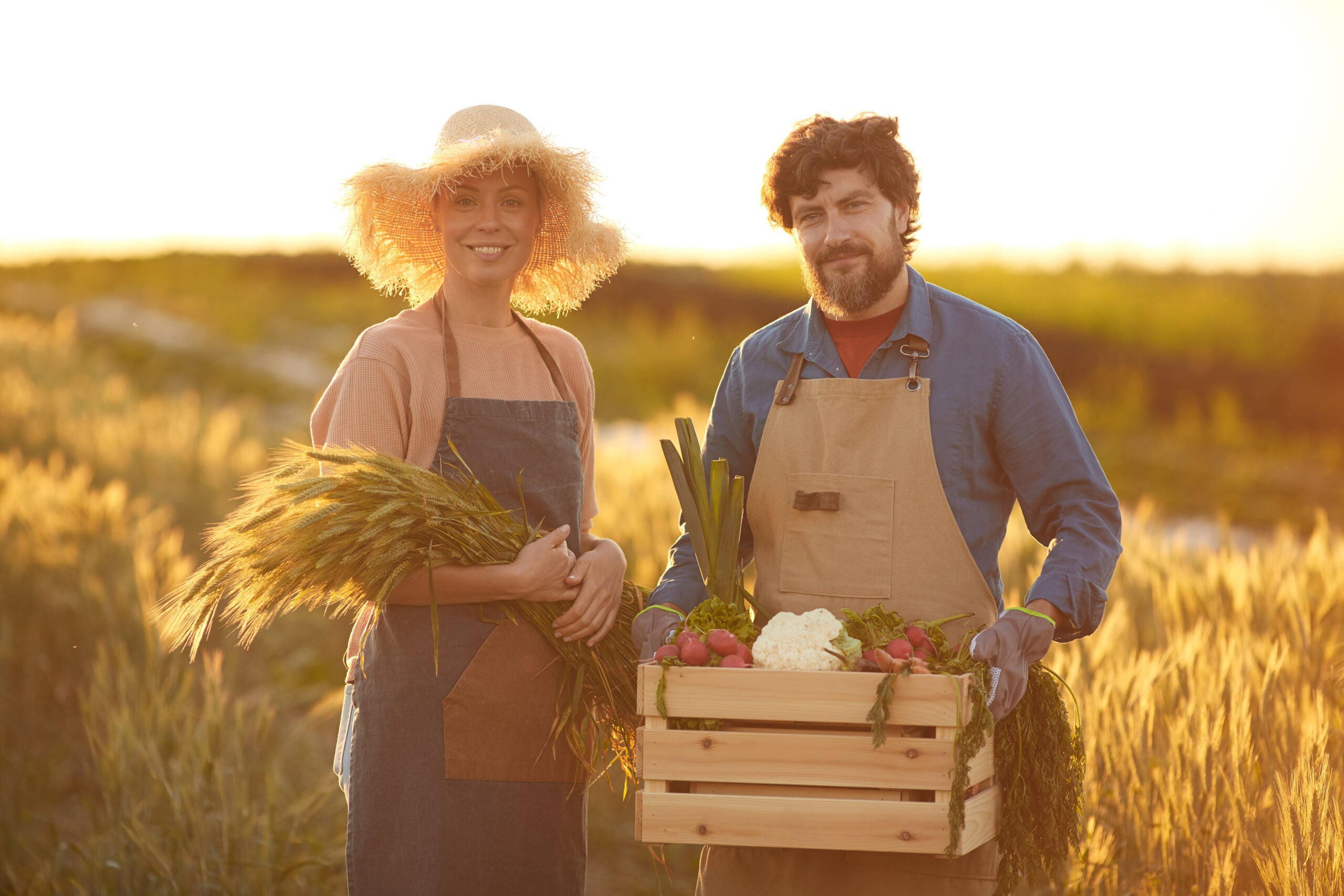 farmers in a field at sunset