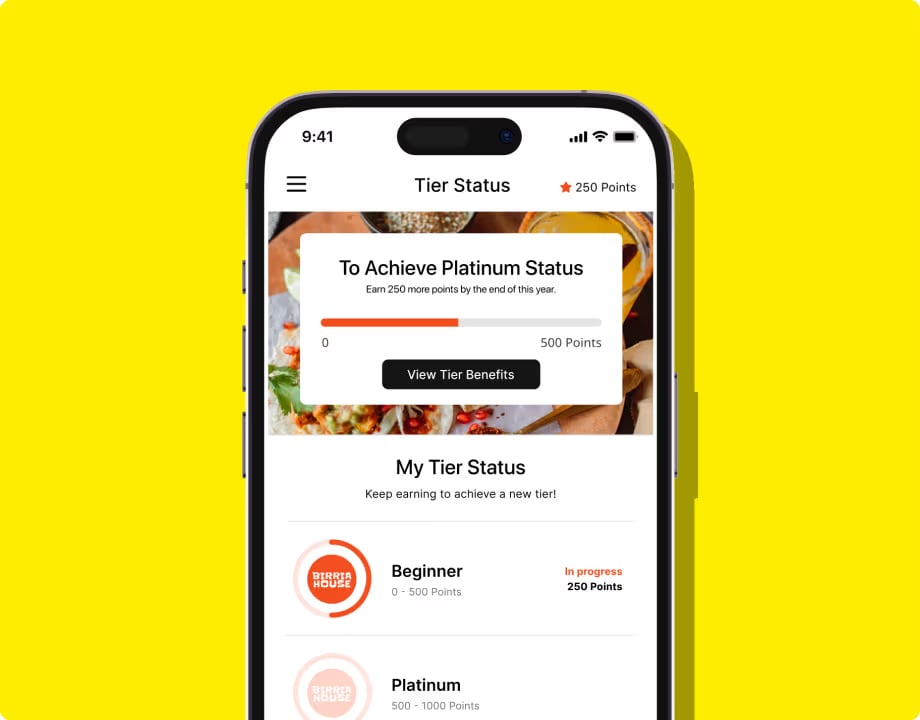 showcasing the tier system for lunchbox.io